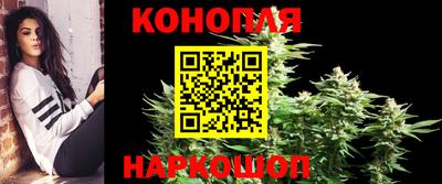 Альфа ПВП Бердск
